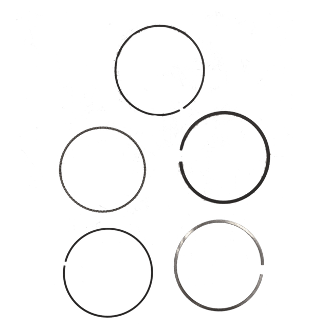 Segment 